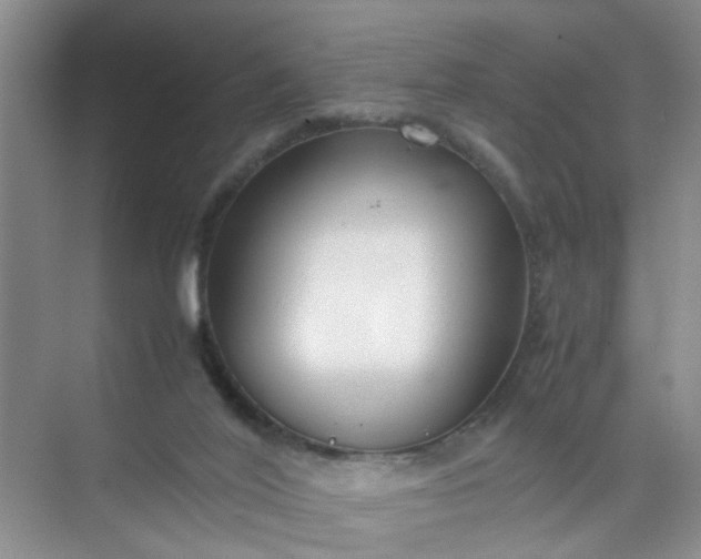 X0000074930020200609151950