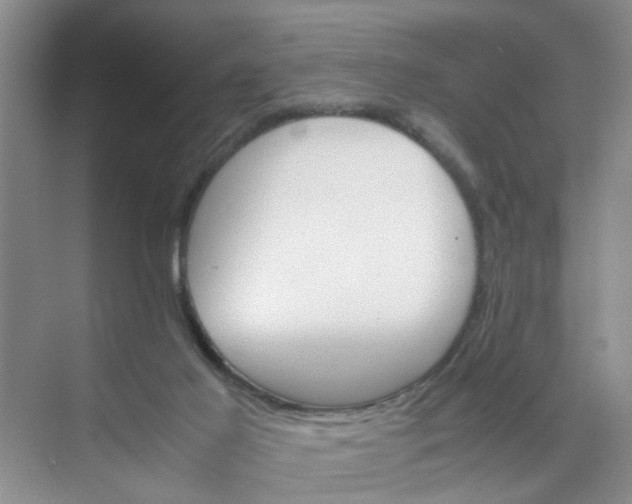 X0000074930021200609151950