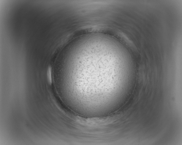 X0000074930022200609151950