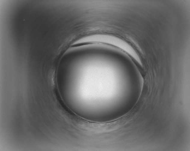 X0000074930023200609151950