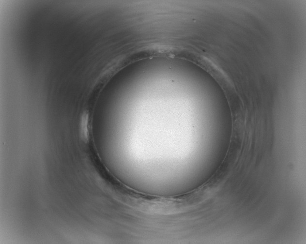 X0000074930024200609151950