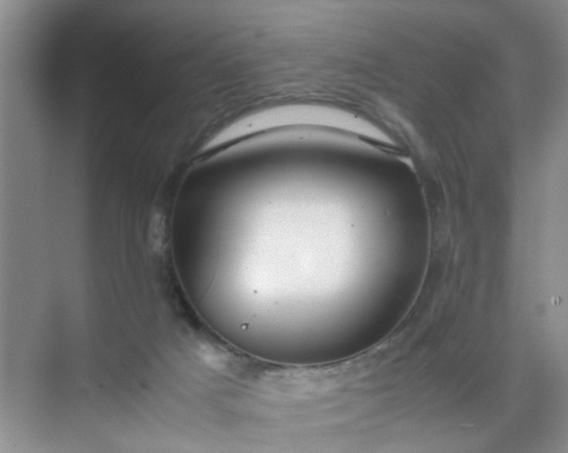 X0000074930025200609151950