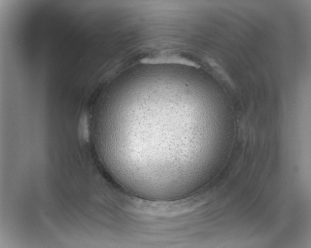 X0000074930026200609151950