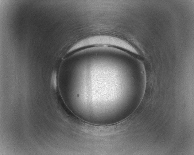 X0000074930027200609151950