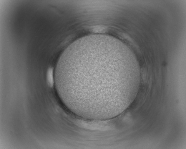 X0000074930028200609151950