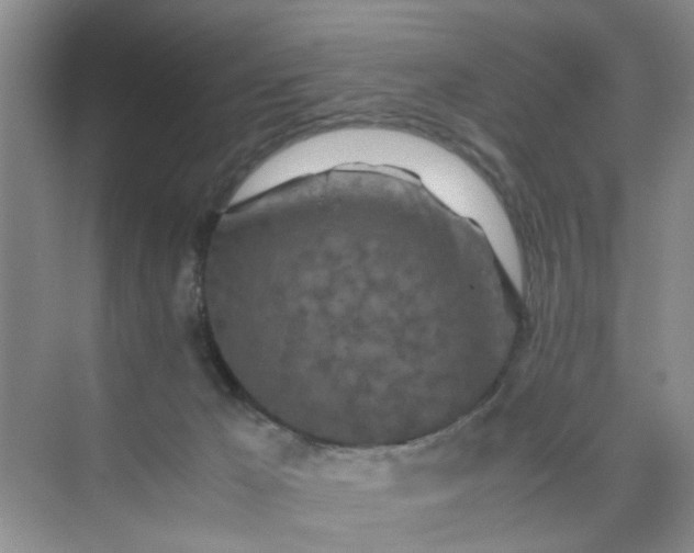 X0000074930029200609151950