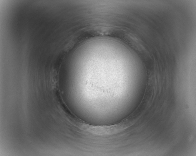 X0000074930030200609151950