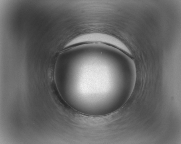 X0000074930031200609151950