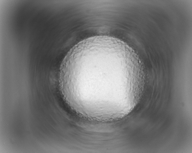 X0000074930032200609151950