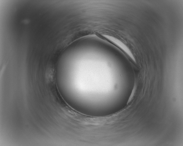 X0000074930033200609151950