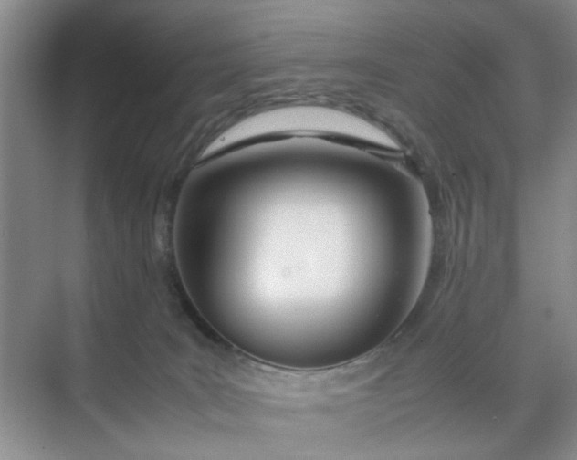 X0000074930035200609151950