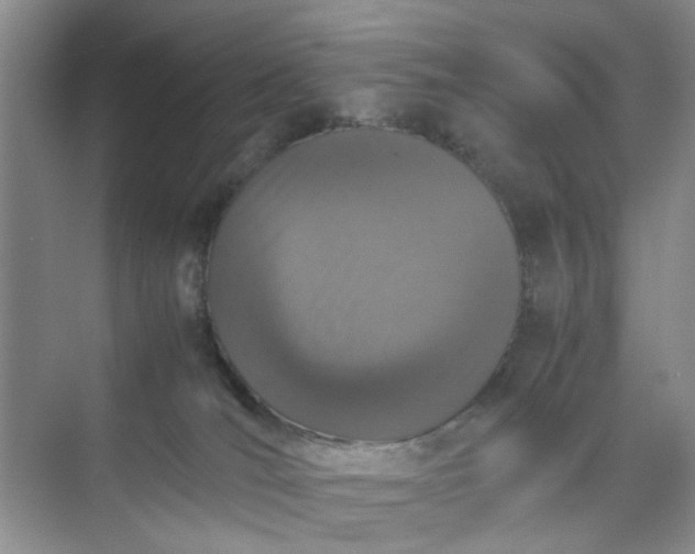 X0000074930036200609151950