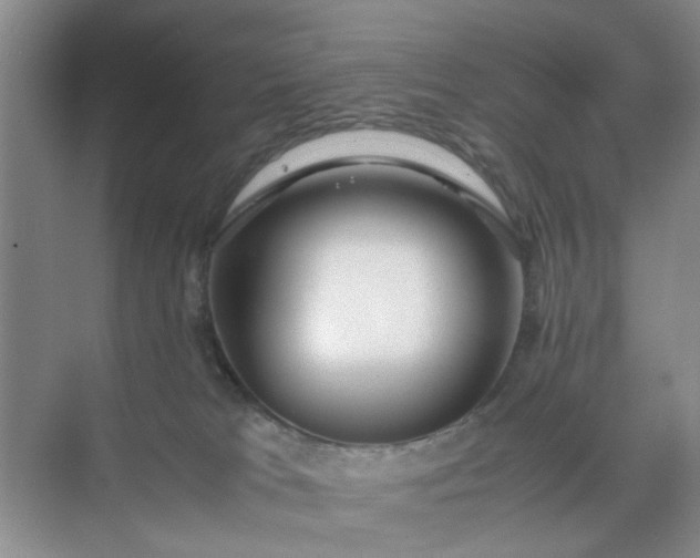 X0000074930037200609151950