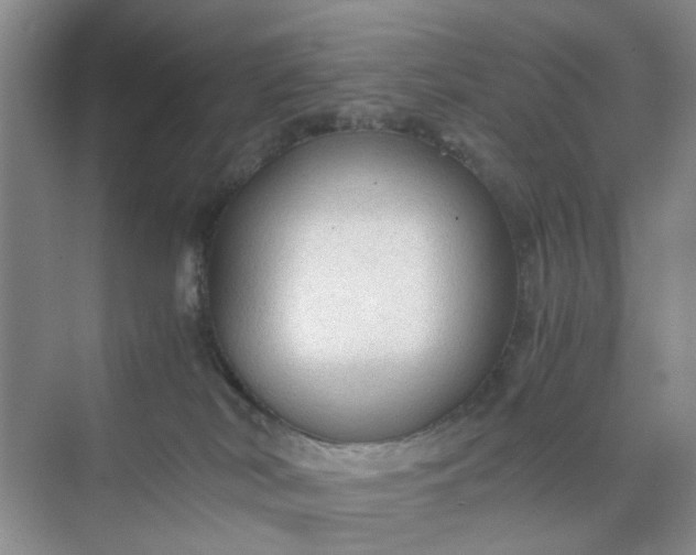 X0000074930038200609151950