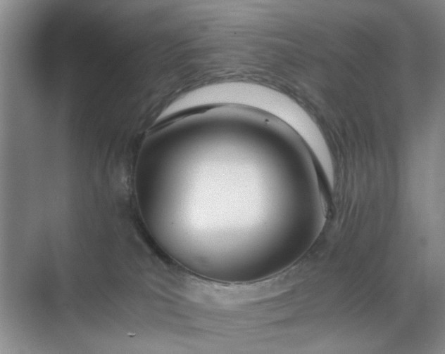 X0000074930039200609151950