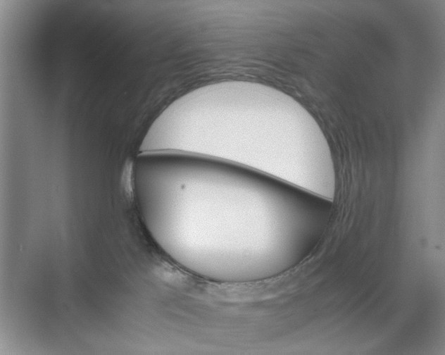 X0000074930041200609151950