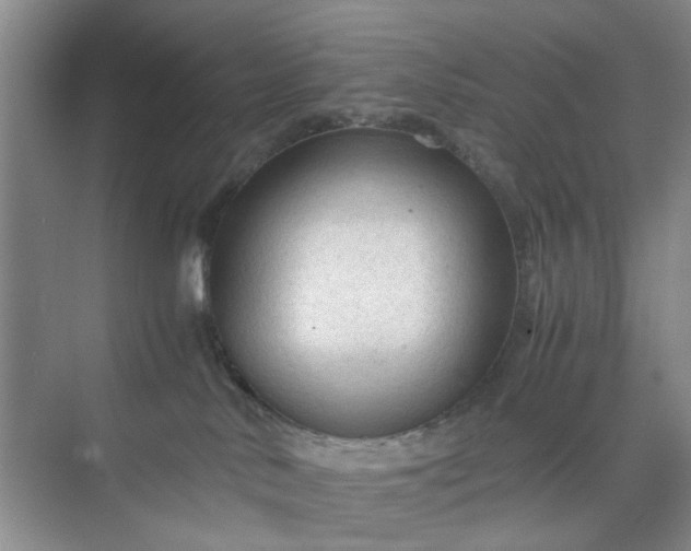 X0000074930042200609151950