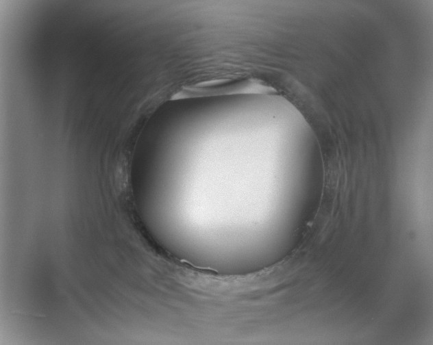 X0000074930043200609151950