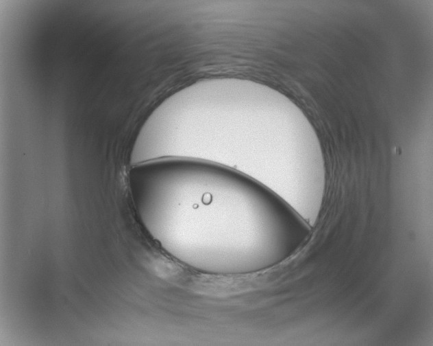 X0000074930045200609151950