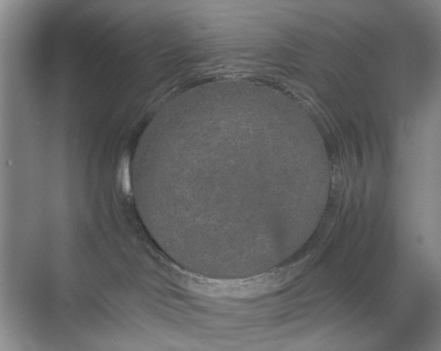 X0000074930046200609151950