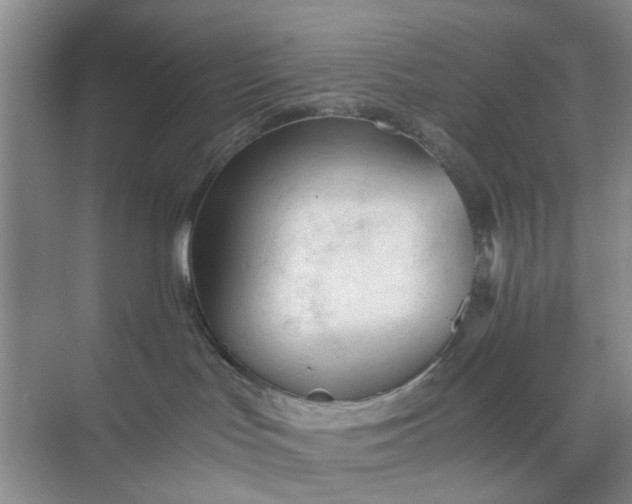 X0000074930047200609151950