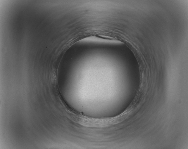 X0000074930048200609151950