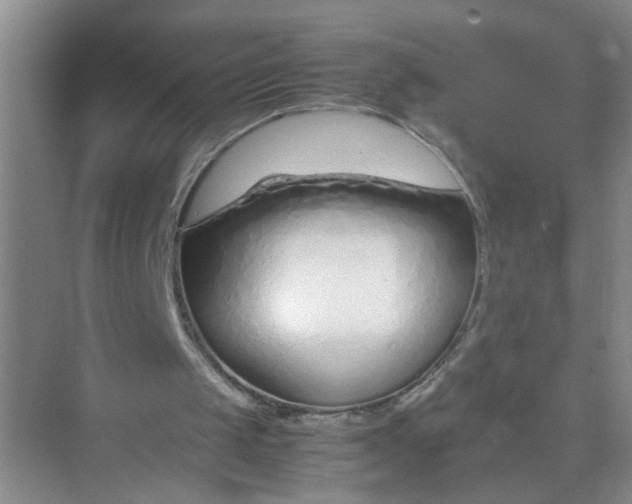 X0000074930049200609151949