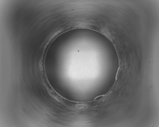 X0000074930050200609151949