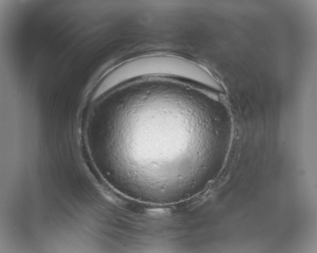 X0000074930053200609151949