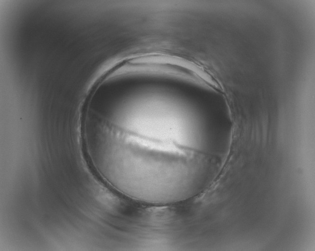 X0000074930054200609151949