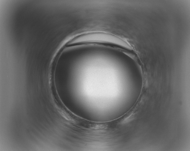 X0000074930056200609151949