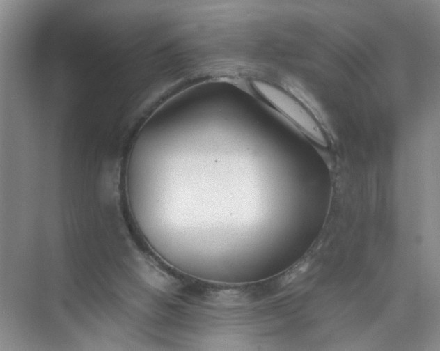 X0000074930058200609151949