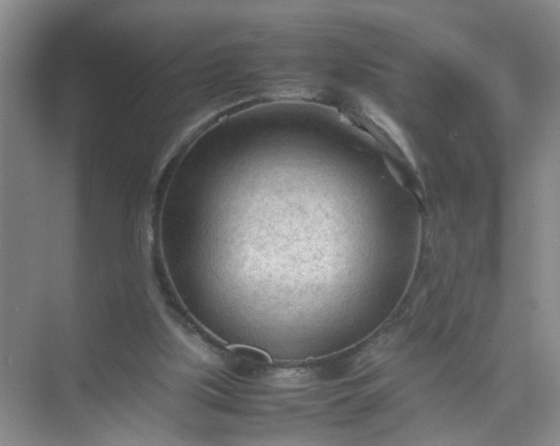 X0000074930059200609151949