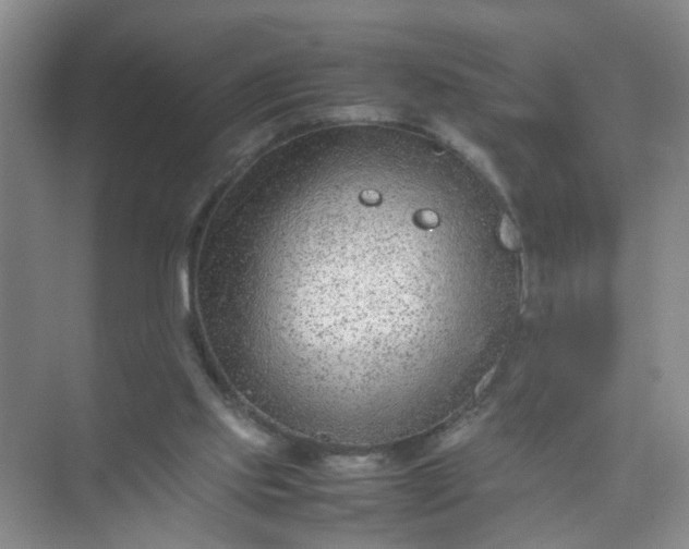 X0000074930061200609151949