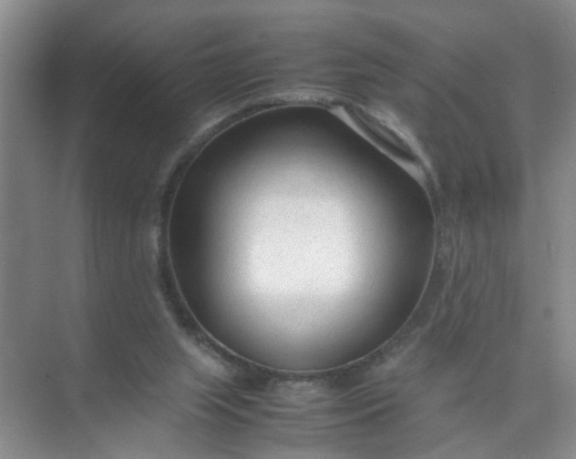 X0000074930063200609151949