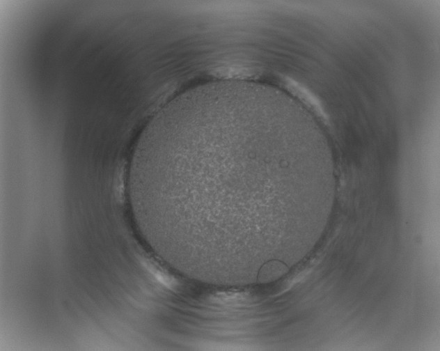 X0000074930065200609151949