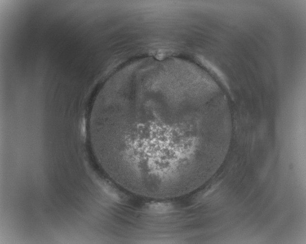 X0000074930067200609151949