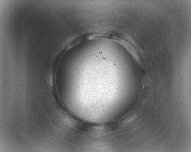 X0000074930068200609151949