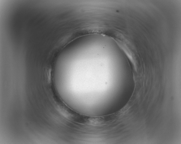 X0000074930070200609151949