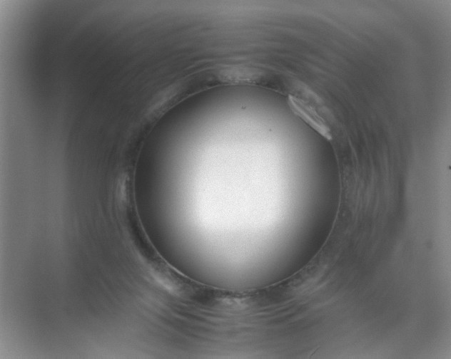 X0000074930071200609151949