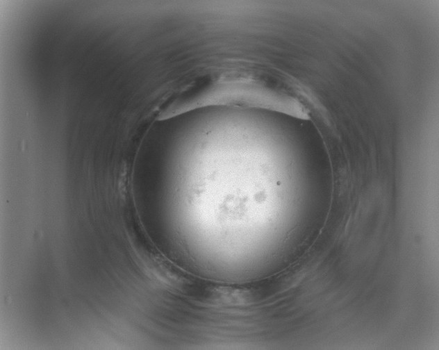 X0000074930073200609151949