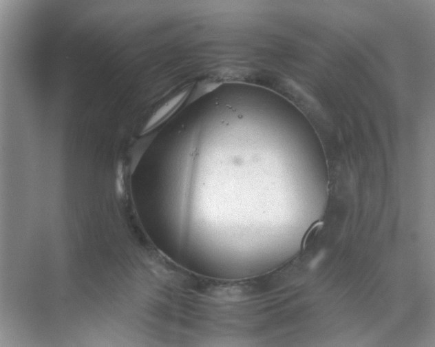 X0000074930075200609151950