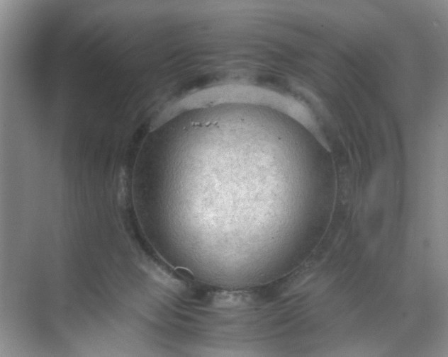 X0000074930077200609151950