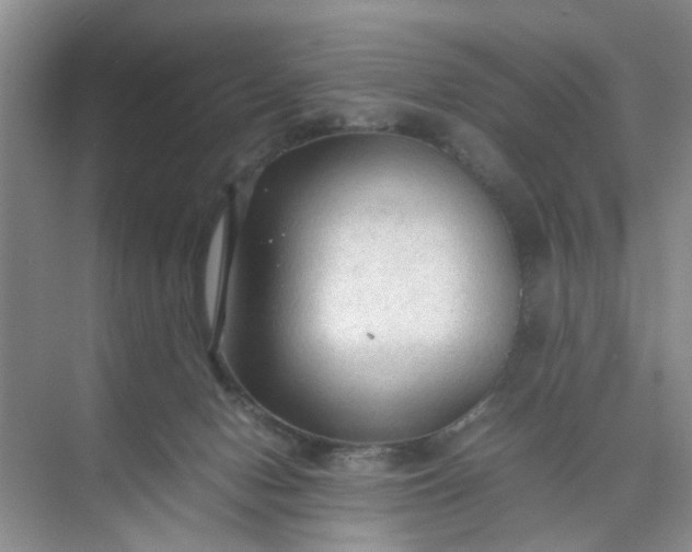 X0000074930078200609151950