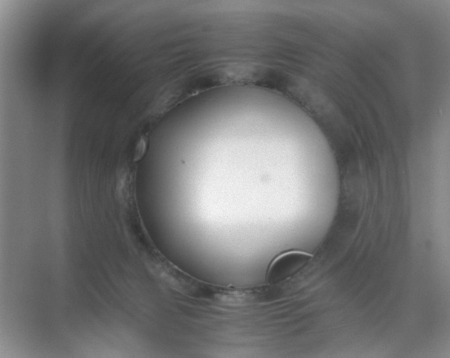 X0000074930079200609151950