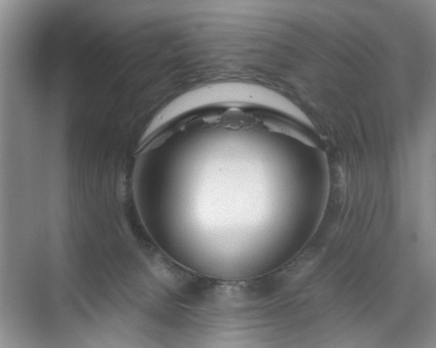 X0000074930080200609151950