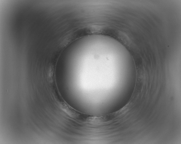 X0000074930082200609151950