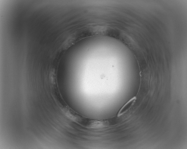 X0000074930083200609151950