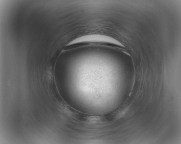 X0000074930085200609151950