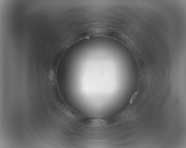 X0000074930087200609151950